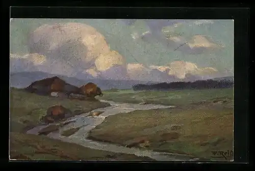 Künstler-AK Fritz Reiss: Sommer im Schwarzwald, Bauernhaus an einem Fluss