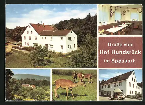 AK Eschau, Gasthaus Hof Hundsrück im Spessart