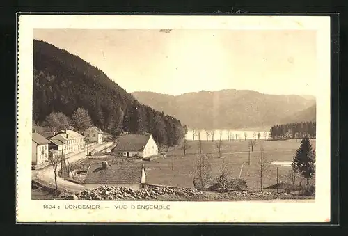 AK Longemer, Vue d'ensemble