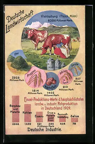 AK Deutsche Landwirtschaft und Industrie, Einzel-Produktions-Werte der Rohproduktion 1909, Rind