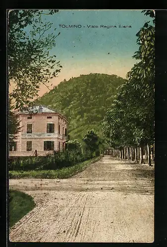 AK Tolmino, Viale Regina Elena mit Berg
