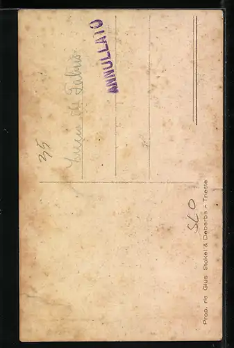 AK Tolmino, Viale Regina Elena mit Berg