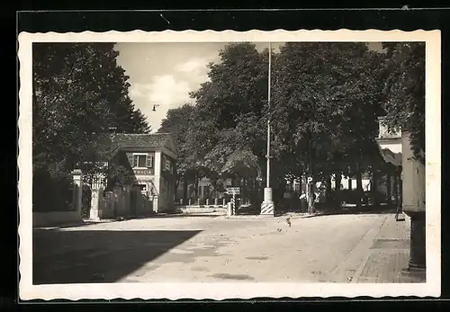 AK Tolmino, Giardino