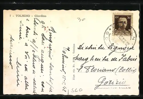 AK Tolmino, Giardino