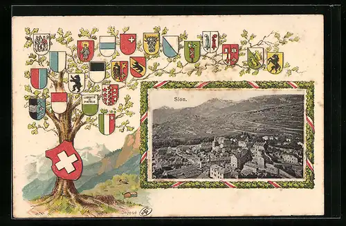 AK Sion, Ortsansicht aus der Vogelschau, Kantonswappen