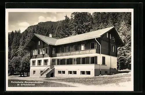 AK Grindelwald, Ferienheim Herzogenbuchsee