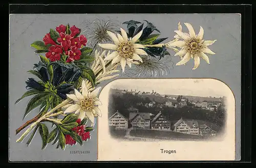 AK Trogen, Teilansicht aus der Vogelschau, Blumenstrauss mit Edelweiss