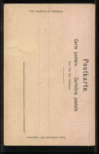 Lithographie Neuchatel, Vue generale et Chateau, Gorges de l`Areuse, Edelweiss