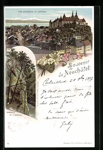 Lithographie Neuchatel, Vue generale et Chateau, Gorges de l`Areuse, Edelweiss