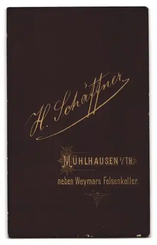 Fotografie H. Schäffner, Mühlhausen i. Thür., Junge Dame mit Kreuzkette und langen gelockten Haaren