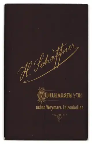 Fotografie H. Schäffner, Mühlhausen, Junger Mann mit zurückgekämmten Haaren und schönen Augen