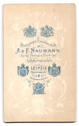 Fotografie A. & F. Naumann, Leipzig, Dorotheenstr. 6, Junger Bursche mit spitzer Nase im weissen Hemd