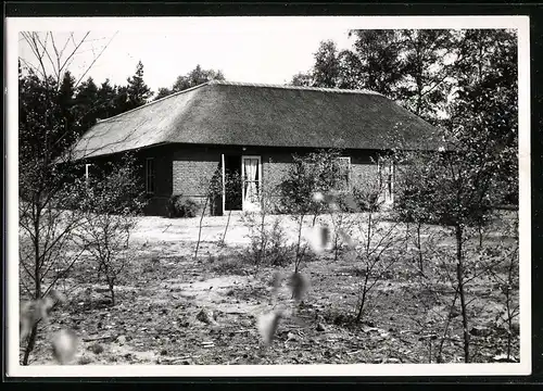 Fotografie Jos. Nuss, Eemnes, Ansicht Ede / Gelderland, Einfamilienhaus mit Reetdach