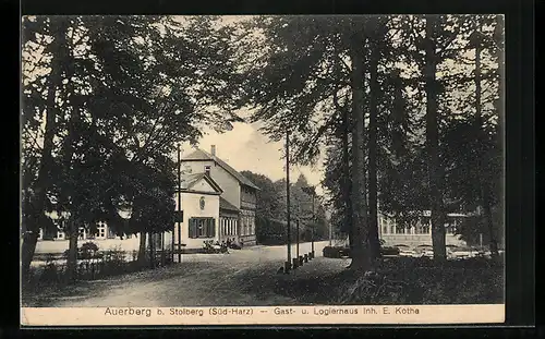 AK Auerberg b. Stolberg (Süd-Harz), Gast- und Logierhaus