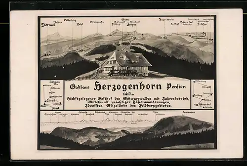 AK Bernau, Gasthaus-Pension Herzogenhorn mit Bergpanorama