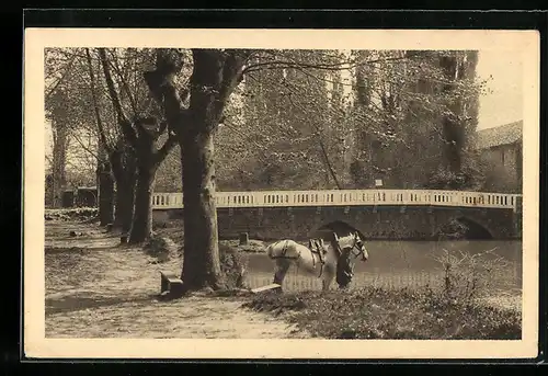 AK Isle-de-Noé, Pont Neuf sur la Petite Baise