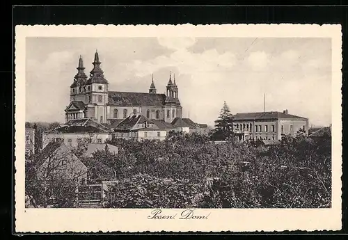 AK Posen, Panorama mit Dom