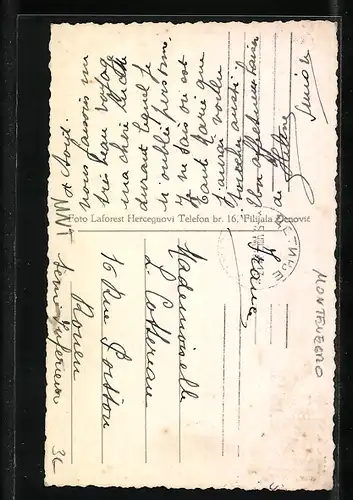 AK Kotor, Katedrala Sv. Tripun