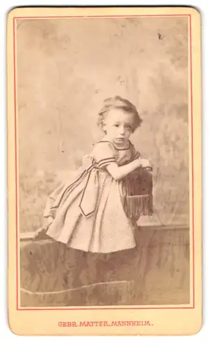 Fotografie Gebr. Matter, Mannheim, Heidelbergerstr. P. 7. 19 u. 8, Kleines Mädchen im Kleid