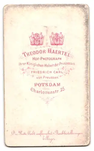 Fotografie Theodor Haertel, Potsdam, Charlottenstr. 25, Junger Herr im Anzug mit Fliege