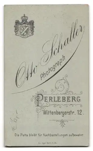 Fotografie Otto Schaller, Perleberg, Wittenbergstr. 12, Junge Dame im Samtkleid mit Kragenbrosche