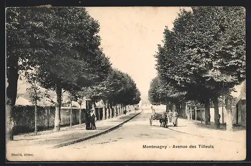 AK Montmagny, Avenue des Tilleuls