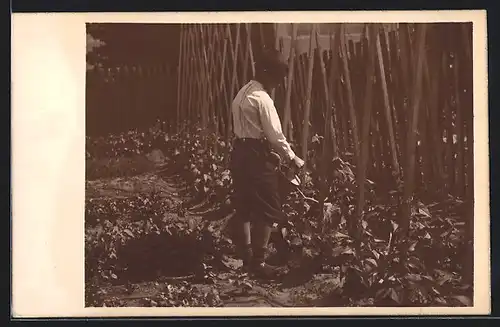 AK Junge beim Giessen im Garten