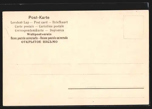 Lithographie Venezia, Canal Grande, Pal. Browning