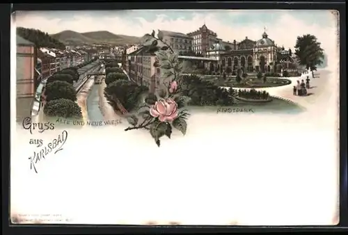 Lithographie Karlsbad, Alte und Neue Wiese, Stadtpark