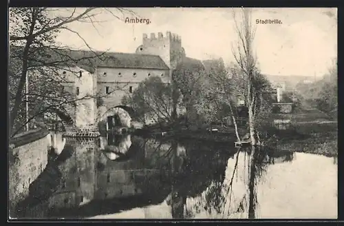 AK Amberg, Burg und Stadtbrille