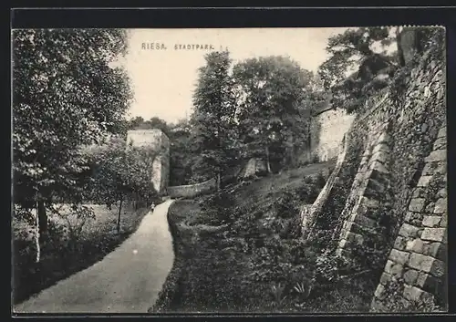 AK Riesa, Partie im Stadtpark