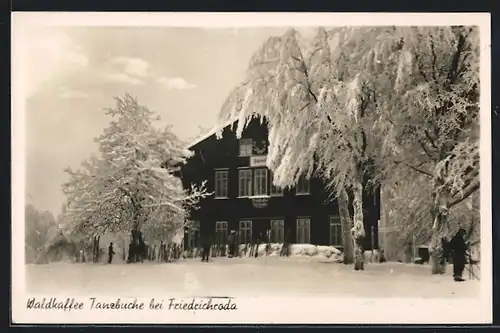 AK Friedrichroda, Blick auf das verschneite Waldkaffee Tanzbuche