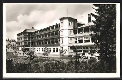 AK Höchenschwand /Schwarzwald, Augensanatorium Sonnenhof