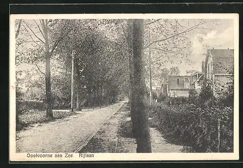 AK Oostvoorne aan Zee, Rijlaan, Wegpartie