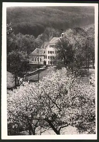 Fotografie Ansicht Escheberg, Blick nach dem Schloss