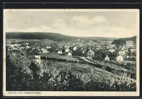AK Immendingen, Panorama