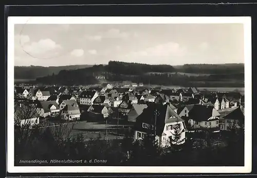 AK Immendingen a. d. Donau, Teilansicht