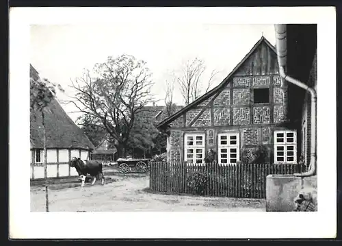 AK Wiedensahl, Wilhelm Busch`s Geburtshaus mit Kuh