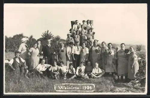 Foto-AK Bauern bei der Weinlese, 1934