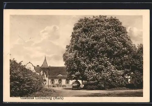 AK Liebenberg / Mark, Ortsansicht mit Gasthaus
