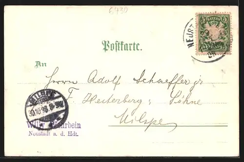 Lithographie Neustadt a. d. Haardt, Totalansicht mit Gymnasium und Marktplatz