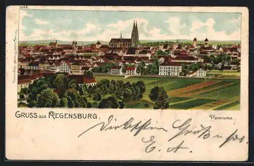 Lithographie Regensburg, Panorama der Stadt