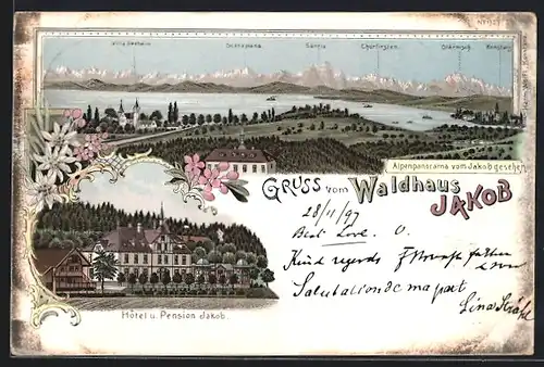 Lithographie Konstanz, Hotel Waldhaus Jakob, Panorama mit Villa Seeheim und Glärnisch