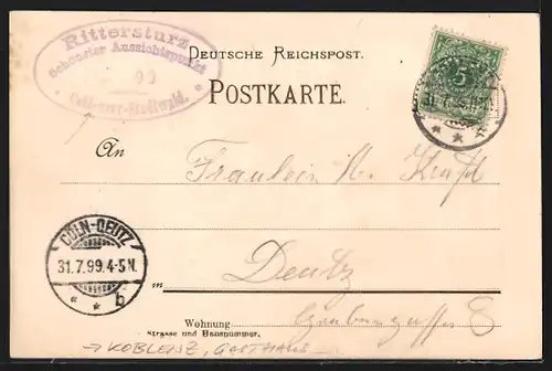 Lithographie Koblenz, Gesamtansicht mit Umgebung von oben, Gasthof Rittersturz