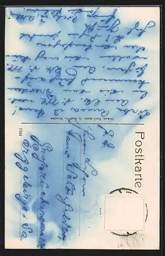 AK Zittau, Brüder-Strasse mit Kloster-Kirche