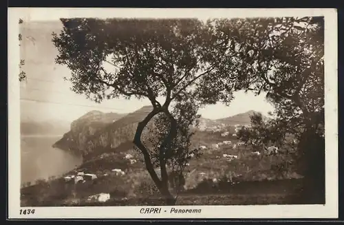 AK Capri, Panorama