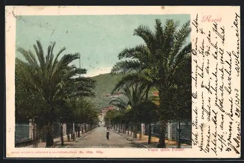 AK Nervi, Viale delle Palme