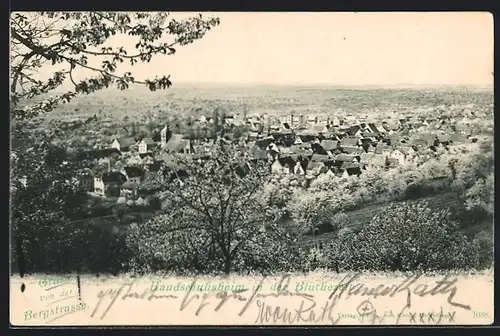 AK Handschuhsheim, Ortsansicht im Frühling