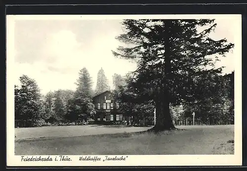 AK Friedrichroda i. Thür., Waldcafé Tanzbuche