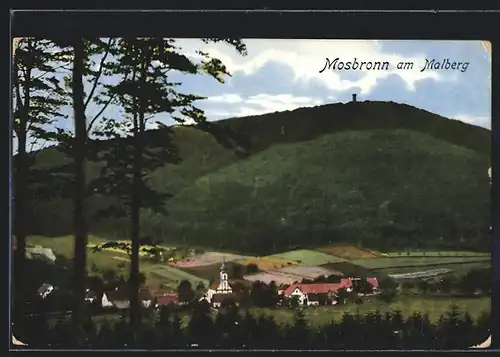 AK Moosbronn am Malberg, Ortsansicht mit Berg